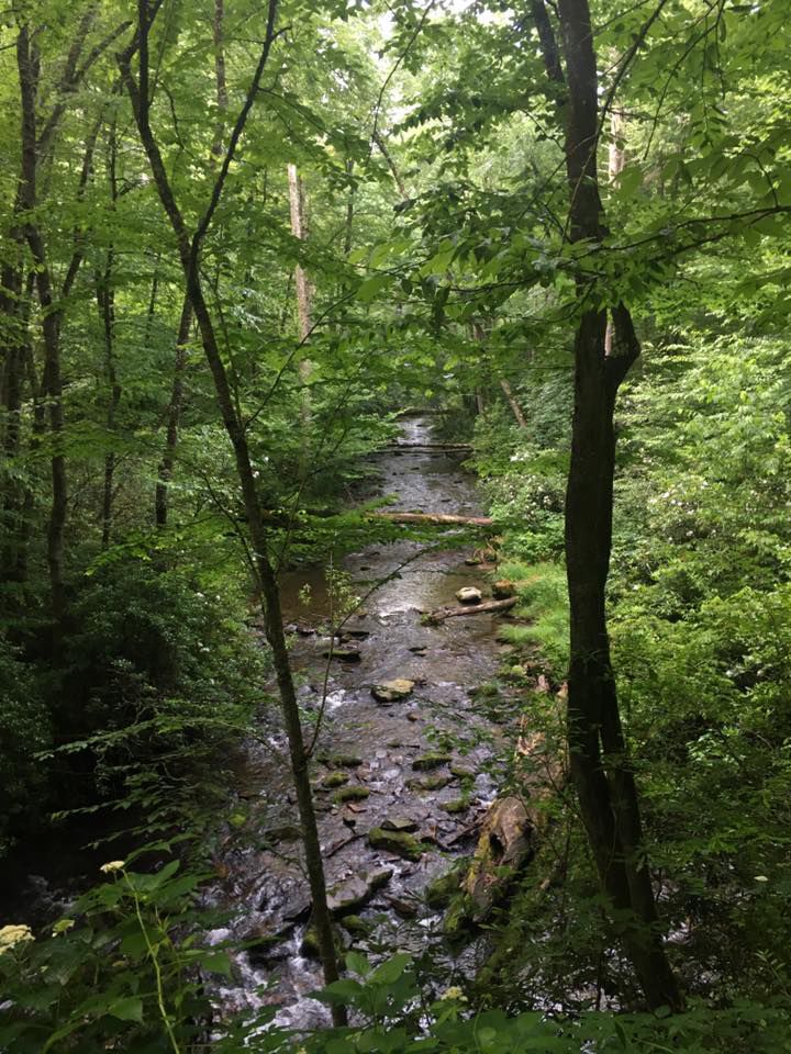 Boogerman creek